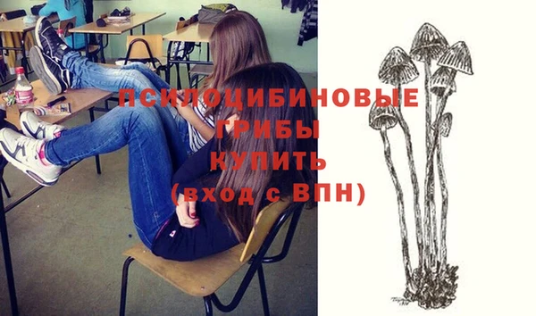 mdma Костерёво