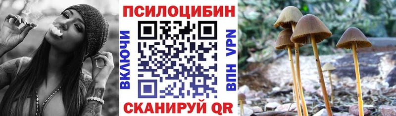 Купить закладки  Медынь  Псилоцибиновые грибы Magic Shrooms 